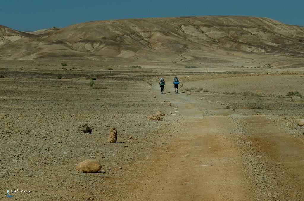Desert Picture Arad Esterno foto